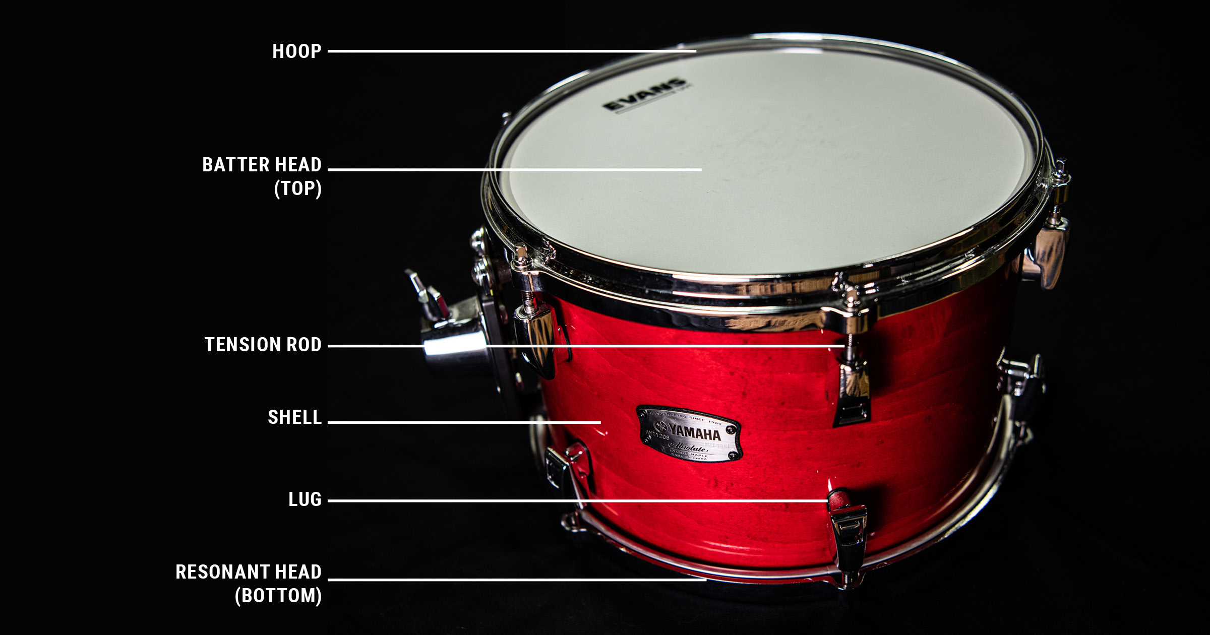 anatomy of a bass drum