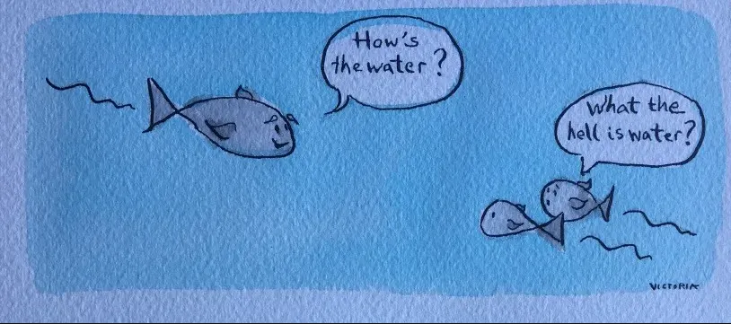 A watercolour cartoon. An older fish on the left swims past two smaller fish and asks, 'How's the water?'' The two smaller fish look back, confused, and reply, 'What the hell is water?'