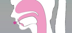 An anatomical profile of the human vocal tract with pink shading highlighting the resonance areas. A pink circular marker is placed directly in front of the lips. The lips are shown in a rounded, protruding position, while the tongue remains relatively low, demonstrating the physical formation of labial vowels.