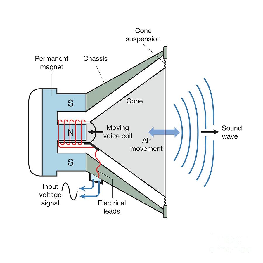 Cross-section diagram of a dynamic loudspeaker. A permanent magnet on the left has its poles arranged so that a north pole sits in the center and south poles surround it, creating a magnetic field across a narrow gap. A voice coil — wire wound in red around a former — sits in this gap. Electrical leads carry an input voltage signal (drawn as an AC waveform) into the coil. The coil is attached to a paper cone, suspended at its outer edge by a flexible cone suspension and held in a chassis. A double-headed arrow shows the cone moving back and forth, displacing air in front of it. Concentric blue arcs to the right represent the resulting sound waves radiating outward.