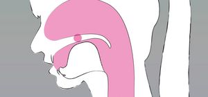 An anatomical profile of the human vocal tract. Pink shading highlights the oral and nasal cavities, with a specific circular focal point at the hard palate. The tongue is raised toward the roof of the mouth, demonstrating the constriction used to produce palatal vowels like those in 'bit' and 'beet'.