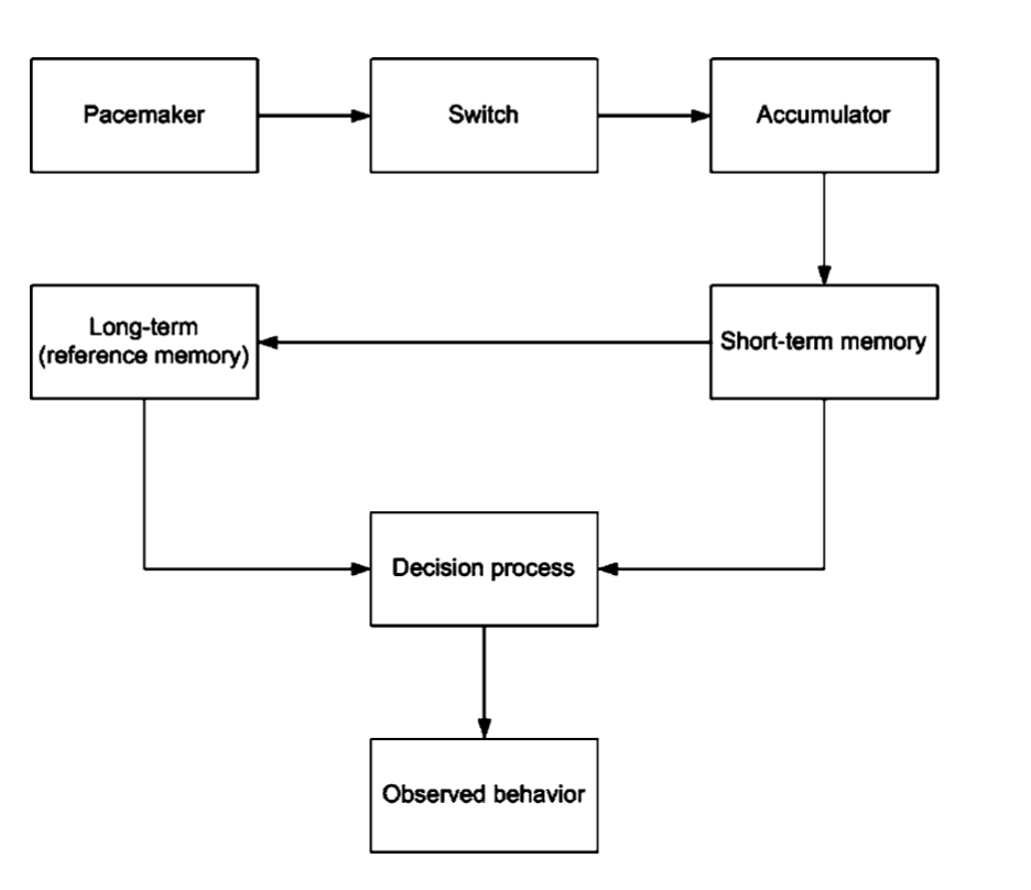 scalar expectancy theory diagram