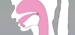 A simplified anatomical diagram of a human head in profile, showing the mouth, tongue, and throat. The nasal cavity, oral cavity, and pharynx are highlighted in pink. The tongue is positioned low and slightly retracted toward the back of the throat, indicating the physical formation required for velar or guttural vowel sounds.