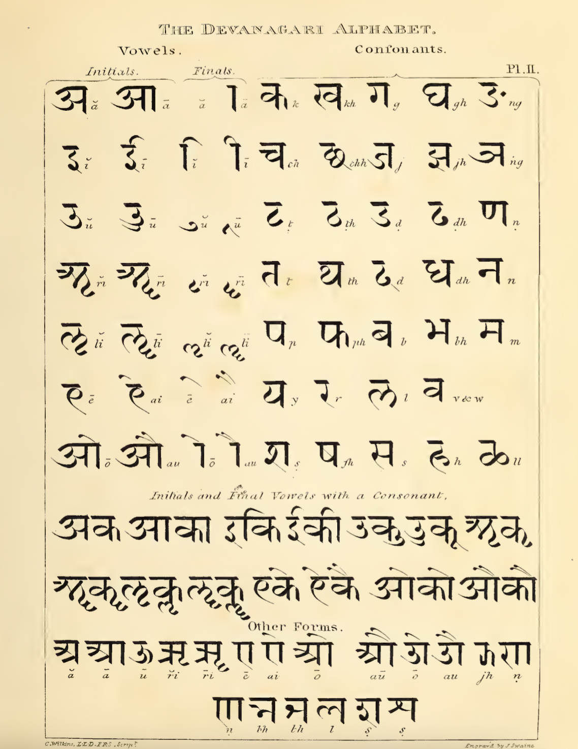 A page from Charles Wilkins's A Grammar of the Sanskrita Language (London, 1808) titled The Devanagari Alphabet, showing vowels (initial and final forms) and consonants with romanized transliterations in the top section, followed by examples of Initials and Final Vowels with a Consonant demonstrating conjunct forms in the middle, and Other Forms showing additional letter combinations at the bottom